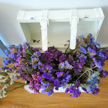 Casa D'agua Apartmán *