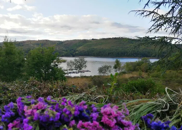 Casa D'agua 公寓 *