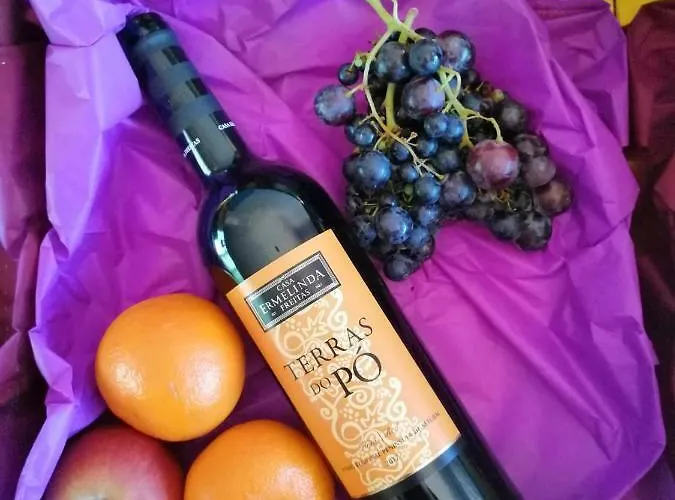 Casa D'agua Apartament